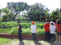 1º ano E ampliando conhecimento no Espaço Verde