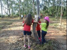 1º ano E ampliando conhecimento no Espaço Verde