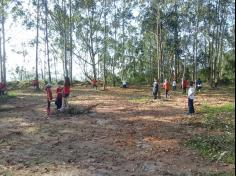 1º ano E ampliando conhecimento no Espaço Verde