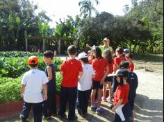 1º ano E ampliando conhecimento no Espaço Verde