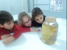 Grupo Magia visita o Laboratório de Biologia