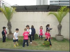 Grupo Sorriso fotografa as plantas do Salesiano