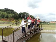 Grupo das Estrelas no Espaço Verde