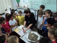 Pequenos cientistas dos terceiros anos