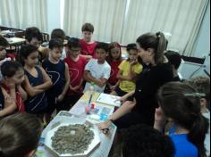 Pequenos cientistas dos terceiros anos