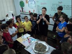 Pequenos cientistas dos terceiros anos