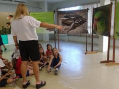 1º anos visitam exposição Bichos do Sul