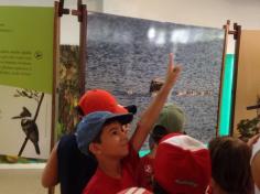 1º anos visitam exposição Bichos do Sul