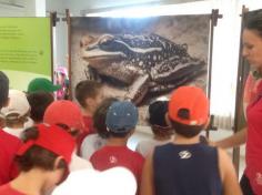 1º anos visitam exposição Bichos do Sul