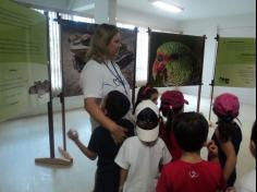 1º anos visitam exposição Bichos do Sul