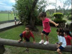 Grupo Pássaro no Espaço Verde