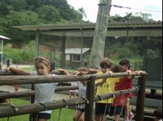 Grupo Pássaro no Espaço Verde