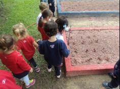 Grupo Baleia brincando e Aprendendo no Espaço Verde