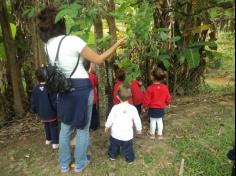 Grupo Baleia brincando e Aprendendo no Espaço Verde