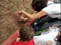 Grupo Baleia brincando e Aprendendo no Espaço Verde