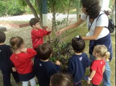 Grupo Baleia brincando e Aprendendo no Espaço Verde