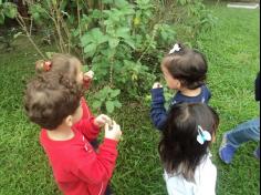 Grupo Baleia brincando e Aprendendo no Espaço Verde