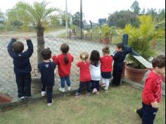 Grupo Baleia brincando e Aprendendo no Espaço Verde