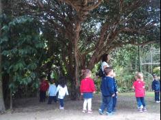 Grupo Baleia brincando e Aprendendo no Espaço Verde