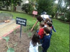 Grupo Baleia brincando e Aprendendo no Espaço Verde