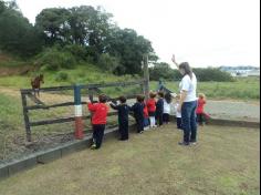 Grupo Baleia brincando e Aprendendo no Espaço Verde