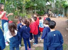 Infantil II visita o viveiro municipal