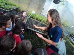 Infantil II visita o viveiro municipal