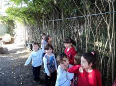 Infantil II visita o viveiro municipal