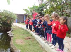 Infantil II visita o viveiro municipal