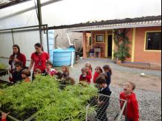 Infantil II visita o viveiro municipal