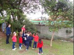 Infantil II visita o viveiro municipal