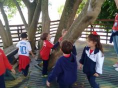 Infantil II visita o viveiro municipal