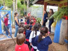 Infantil II visita o viveiro municipal