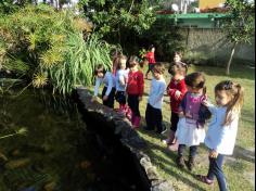 Infantil II visita o viveiro municipal