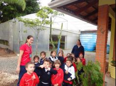 Infantil II visita o viveiro municipal