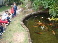 Infantil II visita o viveiro municipal