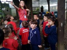 Infantil II visita o viveiro municipal