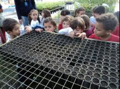 Infantil II visita o viveiro municipal