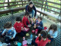 Infantil II visita o viveiro municipal