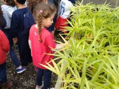 Infantil II visita o viveiro municipal