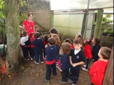 Infantil II visita o viveiro municipal