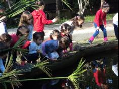 Infantil II visita o viveiro municipal