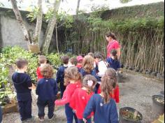 Infantil II visita o viveiro municipal