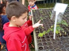 Infantil II visita o viveiro municipal