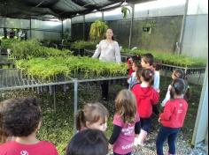 Infantil II visita o viveiro municipal