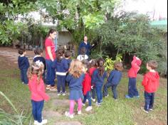 Infantil II visita o viveiro municipal