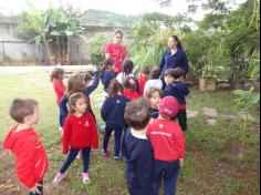 Infantil II visita o viveiro municipal