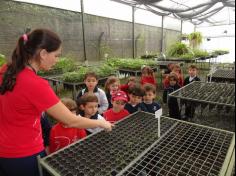 Infantil II visita o viveiro municipal