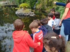 Infantil II visita o viveiro municipal