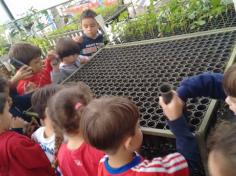 Infantil II visita o viveiro municipal